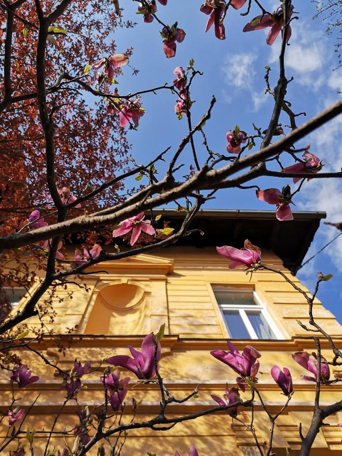 Auberge de jeunesse Vila Veselova, Ljubljana City Center Extérieur photo